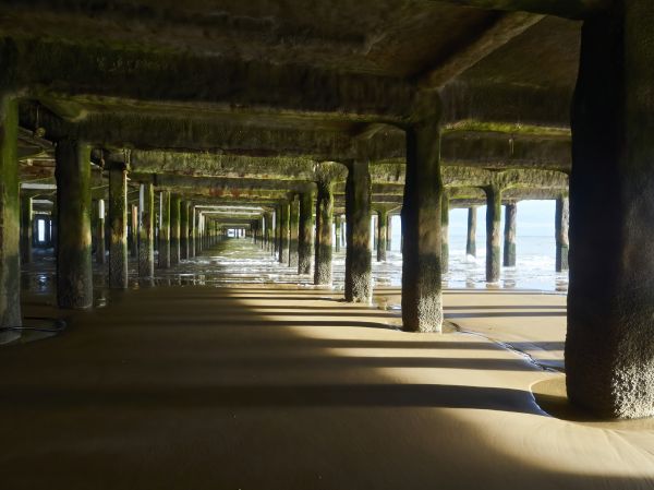 Cost of Concrete Pier Repair in Richardson